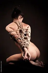шибари 3.webp