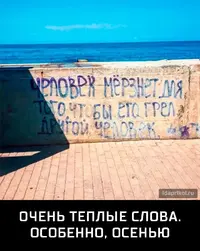 1aa161c6f529b37c35521ff4061a759a7e8275e32015afba89406de917e141fa_1.webp