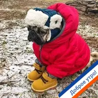 IMG-20180529-WA0013.webp