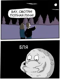 85CE4AE4-5906-4F3D-BE4A-7FFDBEF6B9B3.webp