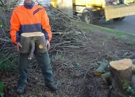 image-5.webp