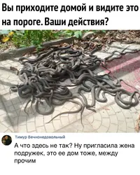 E96B1D83-95DD-455C-AB60-806B0D98BB1F.webp