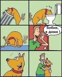 CF256DA2-9F92-4E01-8844-9B61A13490A3.webp