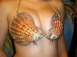 ракушка.webp