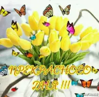 IMG-20180607-WA0008.webp