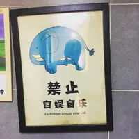no masturbation.webp