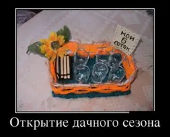 IMG-20180609-WA0011.webp
