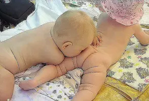 image-5.webp