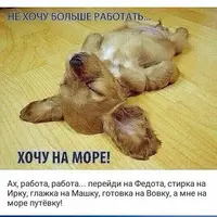 IMG-20180610-WA0001.webp