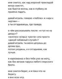 IMG_2480.webp