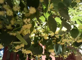 P80610-143915.webp