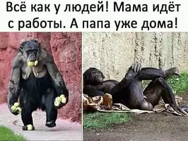 IMG-20180613-WA0054.webp