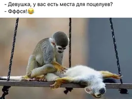 A7930336-9BE6-4546-A641-54A96DC47E75.webp