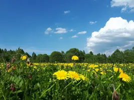 9X8RRHclAdQ.webp