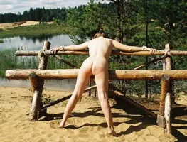 334.webp