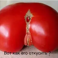IMG-20180625-WA0028.webp