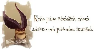 2287554442.webp