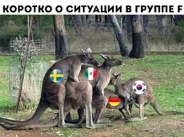 IMG-20180628-WA0032.webp