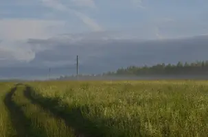 WjJn8aIQVHw.webp