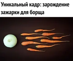 F320B034-87C5-4F98-B53F-7D695793D702.webp