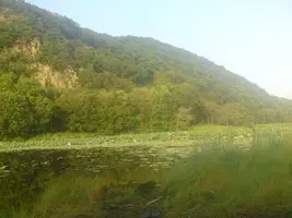 960. озеро.webp