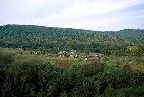 brumfieldkhab-01-13_b.Гуликовка.webp