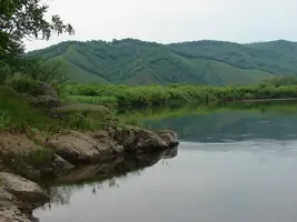 image Архара..webp