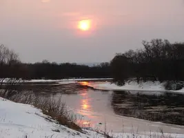 image Архара зимой..webp