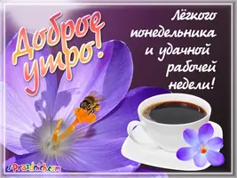 dobroe-utro-ponedelnik.webp