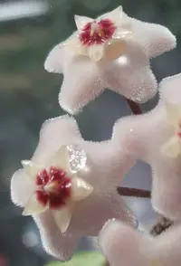 20180628_162127.webp