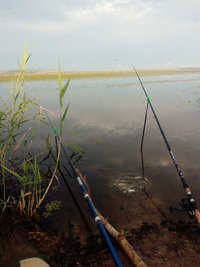 IMG_20180722_072045_600x800.webp