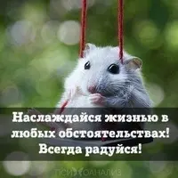 F0F4AA31-3407-4CF5-AEAB-C13A389A8FC6.webp