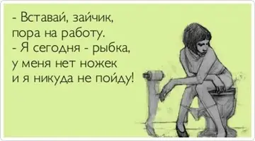 1385365962_18.webp
