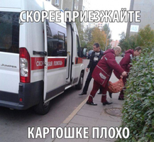 1415578107_023.webp