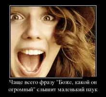 1415794825_14.webp