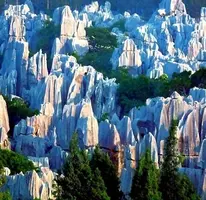 картинка.webp картинка.webp
