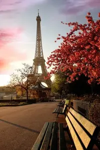 autumn.webp