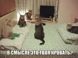 1392783827_887401543.webp