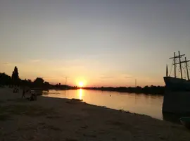 P80807-195919.webp