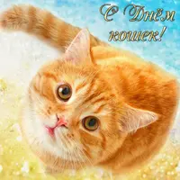 857D0974-8DE4-41E6-BEEC-BB71FD10DFDC.webp