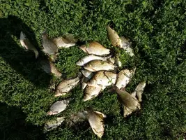 IMG-6e976c725a8d3b9c893adbb5d6fc1d88-V-640x480.webp