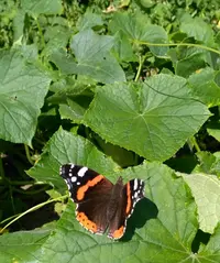 IMG_20180818_150452.webp