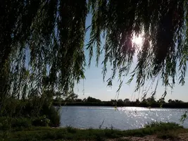 20180809_174024-3096x2322.webp