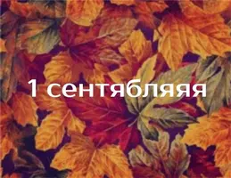 7E9FB4C4-1AD9-409A-B8FC-AE8FA1AF744E.webp