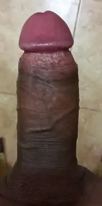9DBAE2A7-5D8A-4E47-B2FD-CD330F8EEF9D.webp
