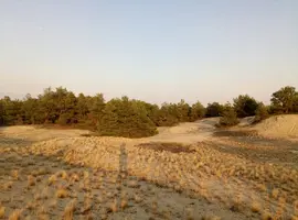 P80815-190725.webp