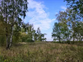 P1020219.webp
