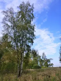 P1020221.webp