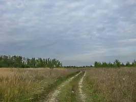P1020234.webp