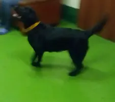 IMAG0341_1.webp